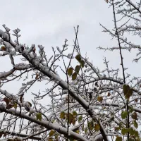 ویلایی-170-زمین-جلفا-بافت-تاریخی