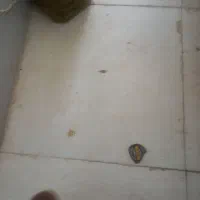 جارو برقی