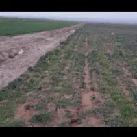 زمین-کشاورزی-به-فروش-میرسد