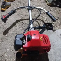 علفزنی حیاط