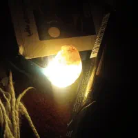 سنگ فروشی|جواهرات|اسدآباد, |دیوار