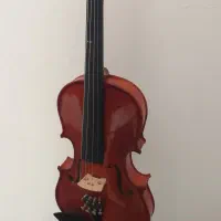 ویولن|ویولن|سنندج, |دیوار