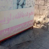 میز پخت پز نخود،  باقله،  لوبیا،