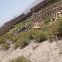 یزدآباد آخر کوچه تهران|فروش زمین و ملک کلنگی|کاشان, یزد‌آباد|دیوار