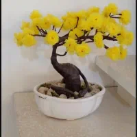 گل مصنوعی|گل مصنوعی|همدان, |دیوار