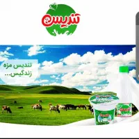 استخدام بازاریاب و ویزیتور