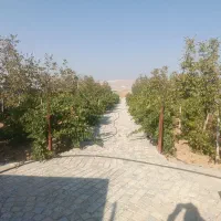 باغ در بیضا
