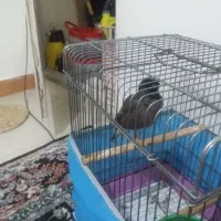 فروش مینافرش م