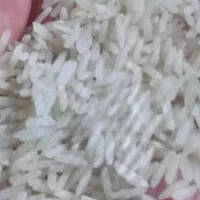 برنج طارم هاشمی وطارم سرگل و طارم استخوانی اشرافی|خوردنی و آشامیدنی|کرج, شهرک اوج|دیوار