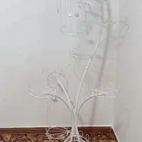 جاگلدانی رویال|گل و گیاه طبیعی|مراغه, |دیوار