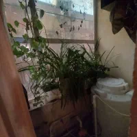 جمهوری   ، شیروانی    ، صادقیه