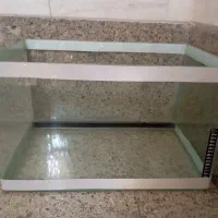 آکواریوم شیشه ای نو|ماهی|تهران, نارمک|دیوار