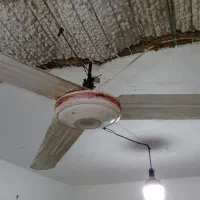 یک عدد پنکه سقفی عرشیا پلمپ