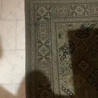 فروش فرش ۶ و  ۱۲ متری|فرش|ساری, |دیوار