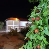 باغ جهاد آباد جهاداباد جهاد اباد باغ فروش و معاوضه