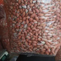 بادام زمینی مغان|خوردنی و آشامیدنی|تهران, ایرانشهر|دیوار