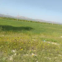 زمین