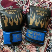 دستکش بوکس و شرت کیک بوکسینگ