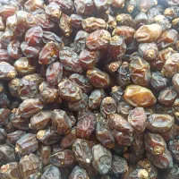 به یک زوج جوان و زرنگ نیازمندیم