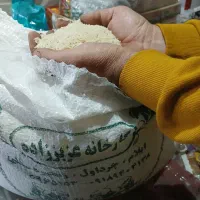 برنج طارم محلی درجه یک به شرط پخت|خوردنی و آشامیدنی|کوهدشت, |دیوار