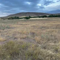 فروش زمین کشاورزی دارای مجوز مرغداری 30000قطعه