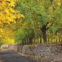 طبیعت گردی .