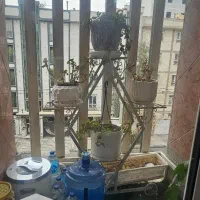 جا گلدانی فرفورژه