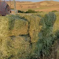 یونجه چین سوم