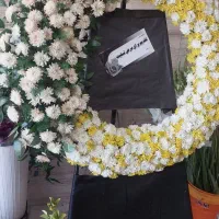 سیم کارت ۰۹۱۲۱۸۱۳۲۳۲