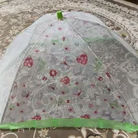 پشه بند