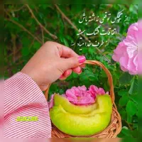 راهنمایی درمان پادردوکمردرد رگ گیری وماساژباروغن