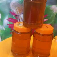 عسل طبیعی تضمینی|خوردنی و آشامیدنی|قم, چهار مردان|دیوار