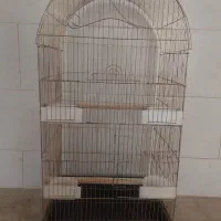 بزرگترین سایز قفس طلایی