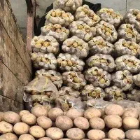 سرکارگر بارگیری سیب زمینی پیازو...|خدمات حمل و نقل|کرمانشاه, |دیوار