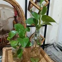 حراج لوازم منزل ، شیر جوش مسی