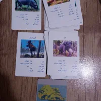 انواع کارت بازی