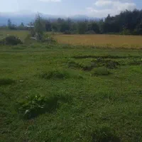 فروش زمین|فروش زمین و ملک کلنگی|طاهرگوراب, |دیوار