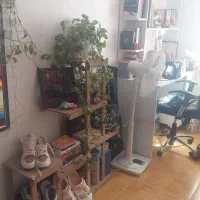 اجاره ملک مسکونی بهترین موقعیت|اجارهٔ خانه و ویلا|ایلام, |دیوار