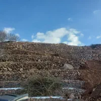 اجاره بیل میکانیکی  زنجیری ۲۳۰|خدمات حمل و نقل|اسکو, |دیوار