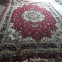 چند عدد قالی|فرش|بردسیر, |دیوار