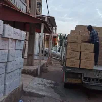 فن حلزونی الکتروژن شیاردار تعمیرفروشگاه سیدعلی|قطعات و لوازم جانبی رایانه|اهواز, فرهنگ شهر|دیوار