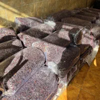 بار تاکستان|خوردنی و آشامیدنی|تاکستان, |دیوار