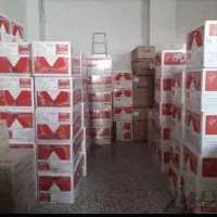 فروش و طرح تعویض پکیج رادیاتور با بهترین قیمت|آبگرمکن، پکیج، شوفاژ|نظرآباد, نظرآباد|دیوار