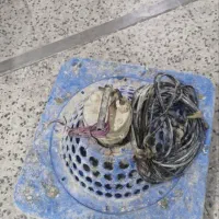 دستگاه هوا ساز ماهی
