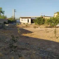 فروش یا معاوضه باغ شهرک استاد شهریار(قوری چای)|فروش زمین و ملک کلنگی|میانه, |دیوار