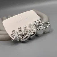 اکسسوری ویولت قیمت اقتصادی|بدلیجات|قوچان, |دیوار