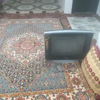 تلویزیون ۲۹ اینچ سالم سالم|تلویزیون و پروژکتور|میناب, |دیوار