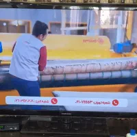 تلویزیون