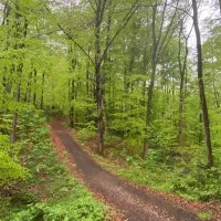 مغازه-12متری