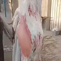 سلاخ قصاب ماهر درب منزل